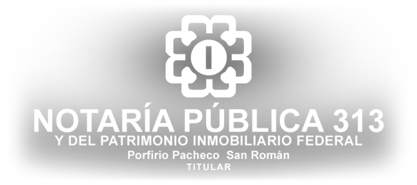 Logo Notaria 313