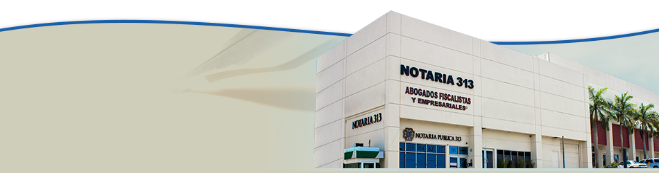 Notaria 313