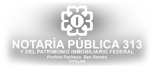 Logo Notaria 313 Logo Notaria 313