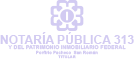 Logo Notaria 313